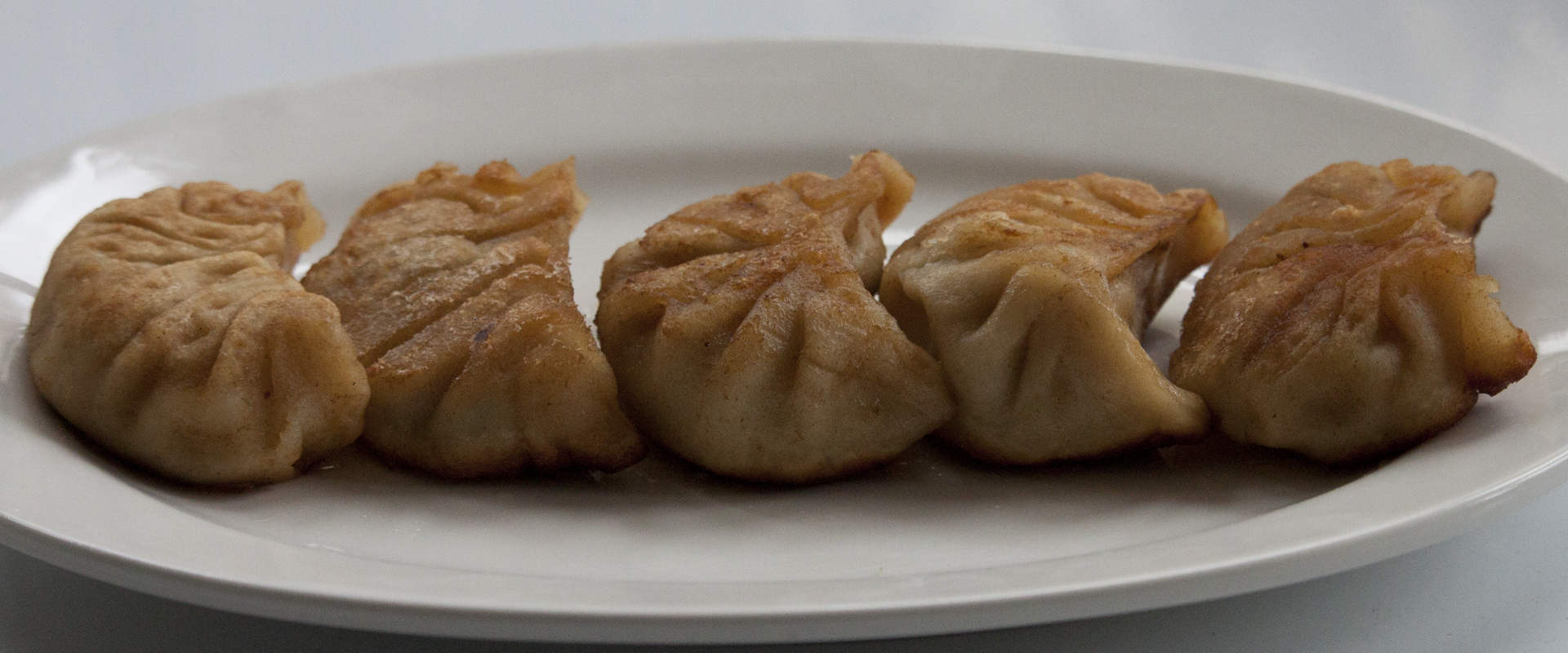 Pan Fried Pork Dumplings