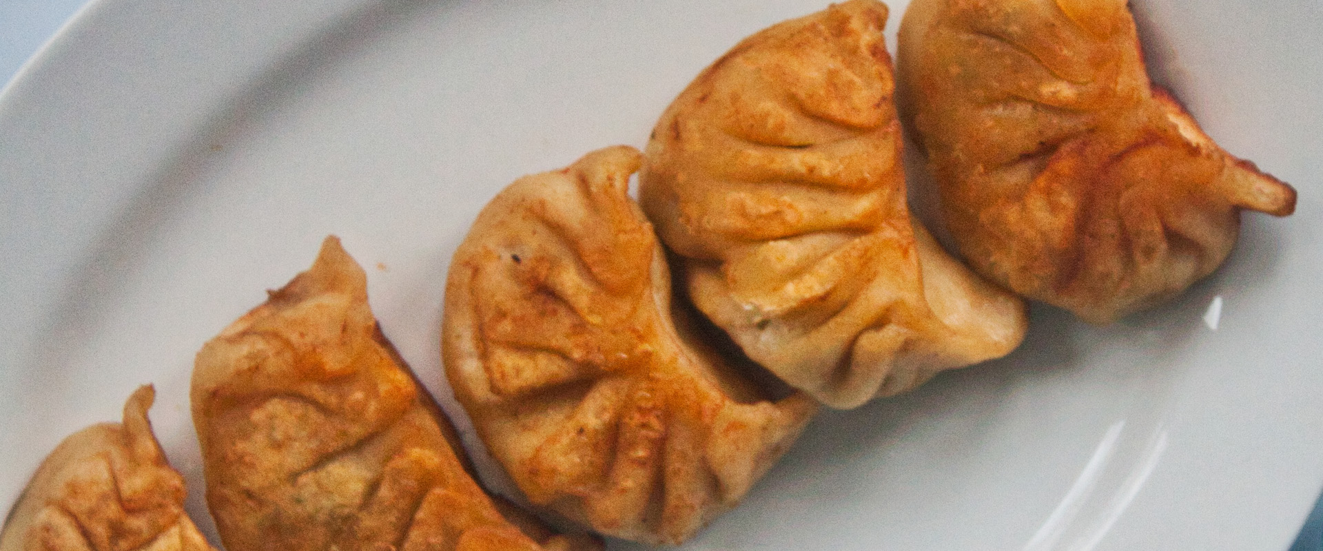 Pan Fried Shiitake Mushroom Dumplings